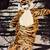 Tiger costume 12-18 months 1 thumbnail