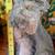 Concrete garden / yard statues! 17” Girl and 10” Yorkies / Scotties ? 4 thumbnail