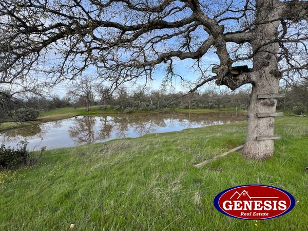 $299,500 COTTONWOOD 120 ACRES OPEN RANGE FENCED 50%, ROADS, 3 PONDS & CREEK (COTTONWOOD)63972527682434122
