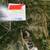 6.5 acres Starr County Salineño TX 2 thumbnail