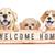 FUR BABIES WELCOME! BREED RESTRICTIONS MAY APPLY! 1 thumbnail