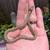 Checkered Garter Snakes 3 thumbnail