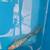 Medium domestic butterfly fin koi 4 thumbnail