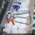Graco true airless paint sprayer Magnum X5 3 thumbnail