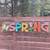 SPRING GARDEN Sign 10' Mounted on Old Barnwood 2 thumbnail
