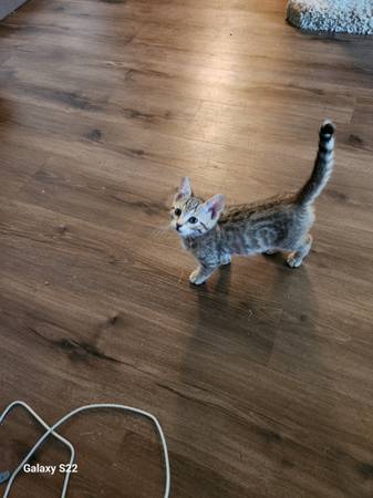 Spotted girl 1