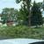 Tree branch removal and tree removal from property clean up free inspection TODA 4 thumbnail