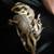 Male Sugar Gliders (2) 1 thumbnail