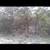 Free cedar clearing 2 thumbnail