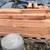 Black Cherry Black Walnut LATHE Spindle Blanks 4 Sale Sealed W Anchor Seal  anch 12 thumbnail