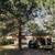 Jacksonville Rental Homes  ❤❤❤  Large Patio 1 thumbnail