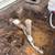 Lic. Ins. Bonded Plumber / Fixes Leaks, Clears Clogs, Same Day Service 13 thumbnail