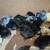 Chicks 4 thumbnail