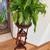Peace-Lily, Plant Stand w/drawers, and Pottery ‘Water-catch’ Platter 3 thumbnail