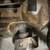 Porsches 996 911 Turbo exhaust OEM muffler and cats 2 thumbnail