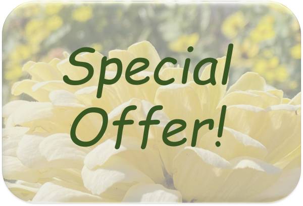 Now Available! Updated 1bd/1ba in Pet Friendly Community! 1