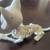 NEW - Skeleton Plastic Cat With Moving Jaws, Tail, Head Faux Halloween 6 thumbnail