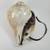 Vintage conch shell | Buddhist Ritual Musical Instrument | 1 thumbnail