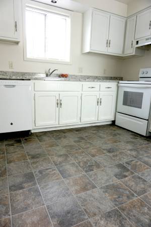 $995 / 2br - 950ft2 - Refreshed 2 Bed 1 Bath (Ralston)63681713940865121