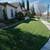 Lawn Maintenance Tall Weeds, Grass?(Davis,Woodland) 1 thumbnail
