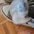 Converse Chuck All Star High Top sneakers shoes 8 Faux Fur Trim 5 thumbnail
