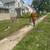 🌳🌲🏡Tree Service,Tree Removal,Stump Grinding,Tree Trimming 5 thumbnail