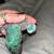 Baby lovebird 2 thumbnail