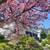 $1,850 / 1br - 810ft2 - 1 Br + big Den, Fully Furnished, Short or long 1 thumbnail