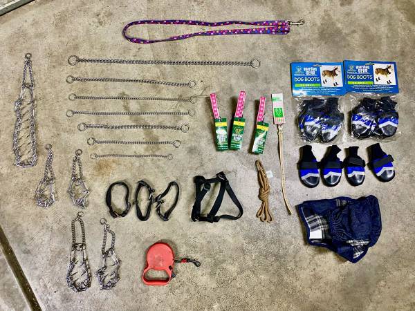 Dog Accessories Bundle 1
