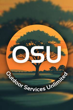 Jack of all trades 1