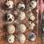 Jumbo quail eggs 2 thumbnail