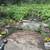 1 Bed Apartment in Fall Creek/Downtown Ithaca! 6 thumbnail