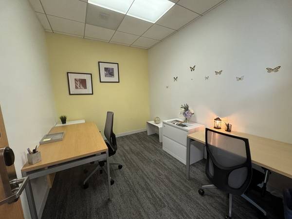 Early Present for your Business - Private Office Starting @ $595/month 1