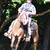 FOR ADOPTION - Heartland Equine Rescue -11yr Rocky Cross Pony 13 thumbnail