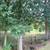 Equine Meadows 2 thumbnail