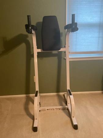 Body solid Vertical knee raise machine 1