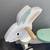 Tender Leaf Running Rabbit Ride On 3 thumbnail