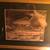 Framed Wildlife Prints 10 thumbnail