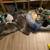 Pet sitter, pet boarding, dog sitter  $20.00 coupon  on 1st rover booking 21 thumbnail