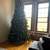 Christmas Tree + Lights, artificial Dunhill Fir (12-foot or 9-foot) 2 thumbnail