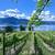 Stunning 2 Bed 2 Bath with Lake View + Pet Friendly! 18 thumbnail