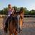 Horse for rehoming 2 thumbnail