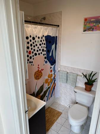 $670 / 2br - Sunny 2BR Sublet in Bushwick – Nov 16 to Dec 1 (Morgan L Stop) (Brooklyn)63816575845249122