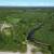 4.99 Acres in Trapper Creek | Improvements + Owner Financing Available 5 thumbnail
