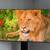 65" Samsung S90D QD-OLED TV 1 thumbnail