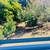 Cutest 2/1 cottage with porch in Sausalito...walk to everything! 10 thumbnail