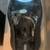 Harley Davidson Corbin 2up Touring Seat 4 thumbnail