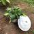 Vintage Enamel White & Red Pot With Lid 11 thumbnail