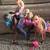 Barbies and Horses 4 thumbnail