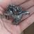 MINIATURES PEWTER... DRAGON, UNICORN, FANTASY, ETC 14 thumbnail